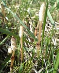 060506_144706.jpg