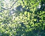 060601_130611.jpg