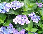060622_152326.jpg