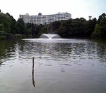 060916_153828.jpg