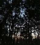 061007_174332.jpg