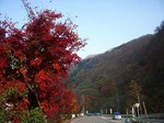 061105_1698.jpg