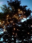 061223_165701.jpg