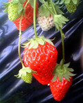 070204_140336.jpg