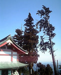 070212_095751.jpg