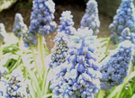 070506_143716.jpg