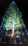 080127_174839.jpg