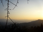 080211hodo01.jpg