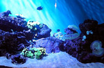 080309_145722.jpg