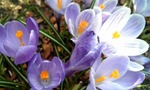 080417_114656.jpg