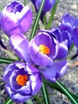 080417_114722.jpg