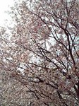 080422_123410_ed.jpg