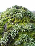 080504_170341.jpg