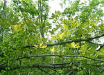 080524_140711.jpg