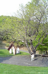 080524_144842.jpg