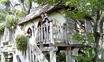 080608_135658.jpg