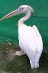 080614_164901.jpg