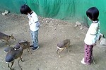 080614_174730.jpg