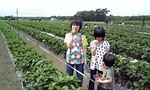 080629_102615.jpg