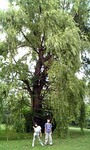 080808_182921.jpg