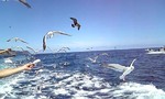 080810_100636.jpg