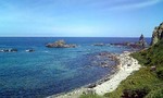 080810_112730.jpg