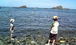080810_113156.jpg