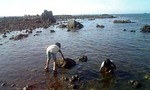 080810_154408.jpg