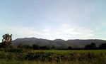 080810_182458.jpg