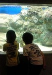 080906_144823.jpg