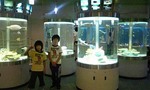 080906_145902.jpg