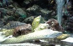 080906_150459.jpg