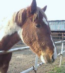 2006-0311-1642.jpg