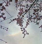 2006-0321-1619.jpg