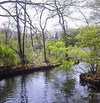 2006-0409-1213.jpg
