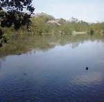 2006-0409-1433.jpg