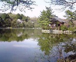 2006-0409-1436.jpg