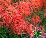 2006-09-23_16-54.jpg