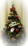 071225_175013_ed.jpg