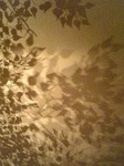 071227_202944_ed.jpg